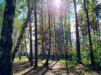 Fototapety na wymiar - Fototapeta24.pl
