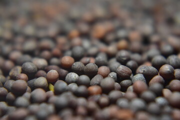 A close up picture of mustard seeds in black