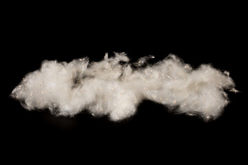 Fluff of poplar trees close-up. Allergy to poplar seeds.