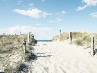 Pathway to the beach, Baltic Sea