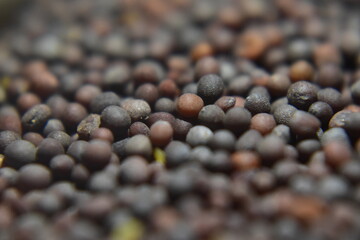 A close up picture of mustard seeds in black - Powered by Adobe