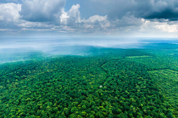 rain over a green forest. panoramic view, drone shooting. rain floods the green valley. Aerial view...