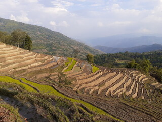 photographs Agriculture of Bhojpur, Nepal