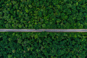 yellow car drives on an asphalt highway through a green forest. Drone top view..