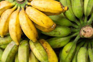 Green and Yellow Bananas Background texture