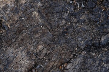 Wooden rough timber old aged. burnt board texture.