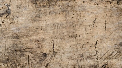 Fototapeta na wymiar Wooden rough timber old aged. material tree bark.