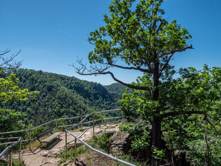 Wanderweg im Nationalpark Harz