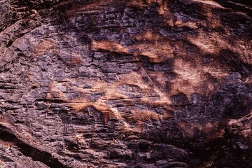 Wooden rough timber old aged. wood plank.