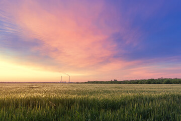 Fototapeta na wymiar sunset on a wheat field, landscape fields of Ukraine agriculture