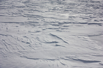 Sunny winter morning. In the field strong wind formed snow barkhans.