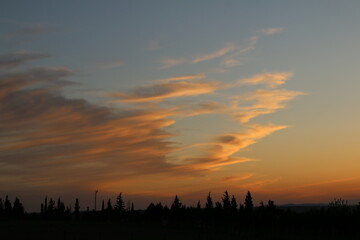 sunset over the field