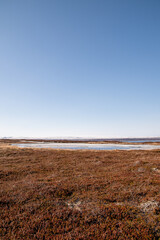 tundra and a lake