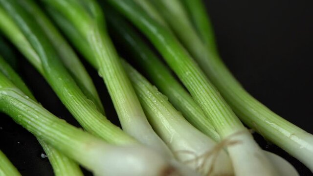 Close up of fresh green onions with water drops rotate on black tray. Healthy and organic vegetables concept. Greens.