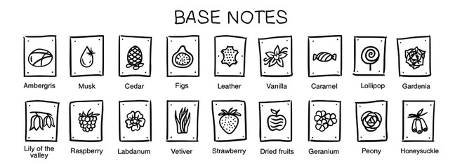 Vector  icons aromas base notes. Base notes pyramid chart with examples of popular aroma essences. Smell categories are oriental, woody, fresh and floral. Trend  examples of scents. Hand-drawn symbol.