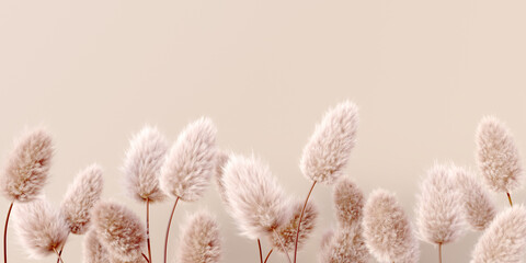Dry fluffy flowers beige pastel color boho background 3d rendering. Abstract Pampas grass isolated - calm floral wallpaper.