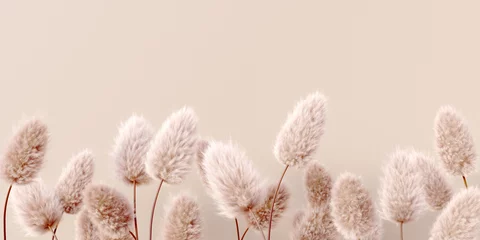  Droge pluizige bloemen beige pastel kleur boho achtergrond 3D-rendering. Abstract geïsoleerd Pampagras - kalm bloemenbehang. © vpanteon