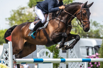 Horse Jumping, Equestrian Sports, Show Jumping themed photo.