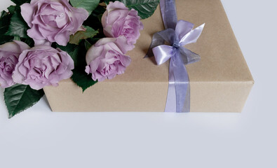 flower rose pink violet purple gift box ribbon white background