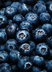 Ripe large blueberries with water drops, food background, close-up