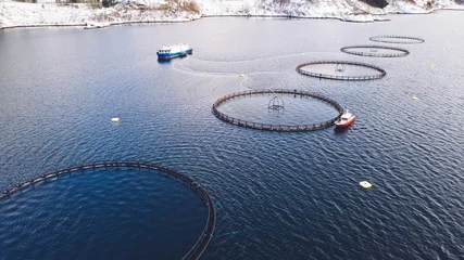 Poster Salmon fish farming in Norway sea. Food industry, traditional craft production, environmental conservation. Aerial view of round mesh for growing fish in arctic water © BullRun