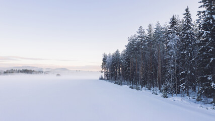 Breathtaking bird's eye view of valley covered with fog before sunrise time in winter. Aerial view of picturesque tranquility of nature, coniferous forest pines in snow