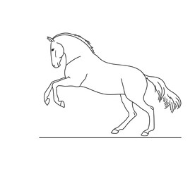 Andalusian horse portrait in jump, vector illustration