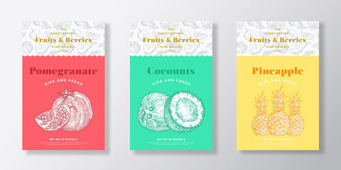 Fruits and Berries Pattern Label Templates Set. Vector Packaging Design Layout Collection. Modern Typography Banner with Hand Drawn Pomegranate, Coconut and Pineapple Sketches Background. Isolated