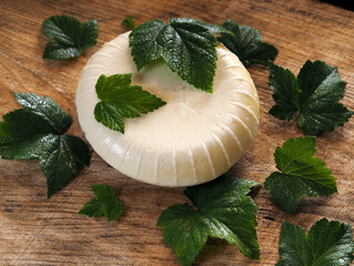 Unusual cheese with currant leaves