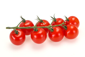 Ripe tomatoes on the branch