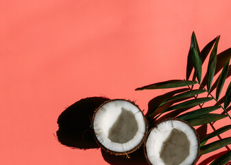 palm and coconut banner