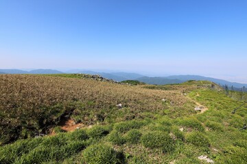 Naklejka premium 初夏の伊吹山山頂