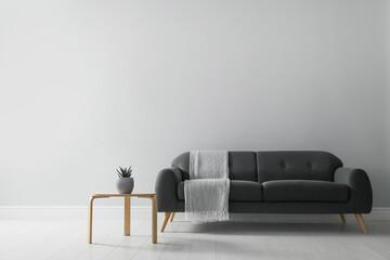 Stylish living room interior with comfortable grey sofa and beautiful plant