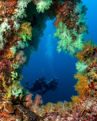 Fototapeta na wymiar Soft coral window and two divers in the background in Maldives