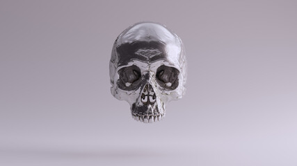 Silver Human Female Skull Gothic Medical Anatomical 3d illustration render
