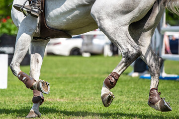 Horse Jumping, Equestrian Sports, Show Jumping themed photo.