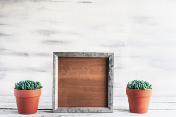 Fototapeta na wymiar Blank wood farmhouse sign or picture frame with potted Creeping Sedum succulents over a rustic table with white wooden background. Free space for text.