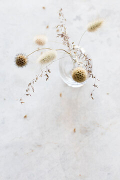 Dried Flowers In A Vase