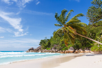 Seychelles Anse Georgette beach on Praslin island palm vacation sea