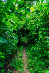 Selva Lacandona Mexico