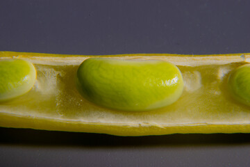 Ziarenko fasoli żółtej nasiona w makro