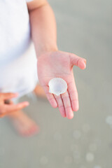 Child Holding Seashells
