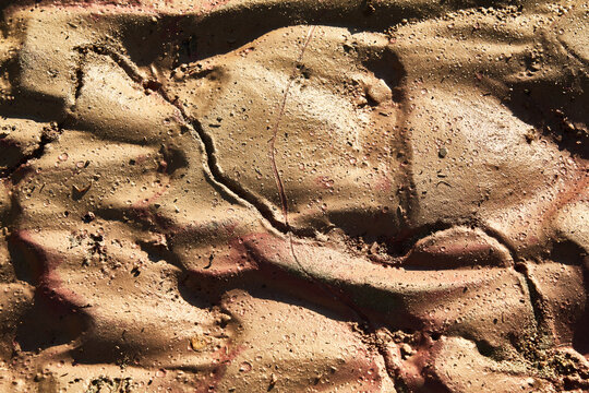 Background of wet sandy beach in sunlight
