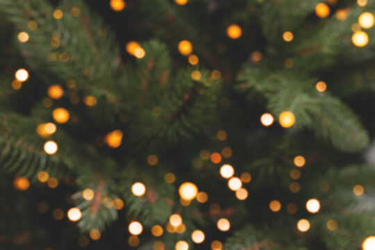 Defocused fir tree with golden bokeh. Blurred Christmas background.