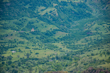 green forest landscape with mountains