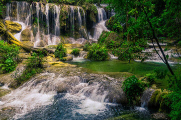 Obraz premium Selva Lacandona Mexico