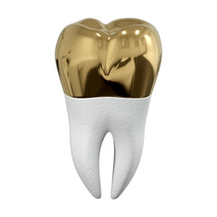 Large molar with a set gold crown on a white background. 3d rendering.
