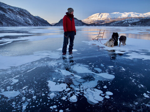 Methane bubbles frozen in Arctic lake ice - female looking at sledge dogs