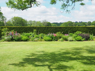 garden in spring