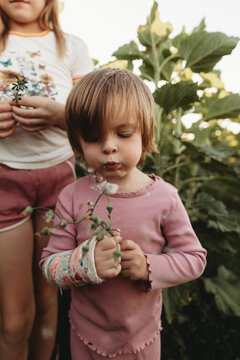 kids in a sunflower crop